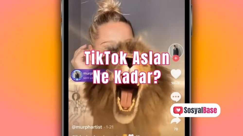 How Much Is TikTok Aslan?